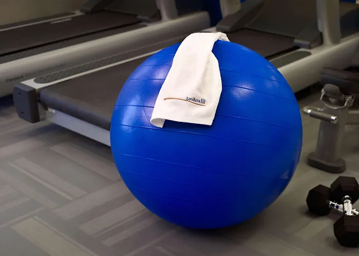 Sonesta Es Suites Baltimore BWI AirportAirport Hotel